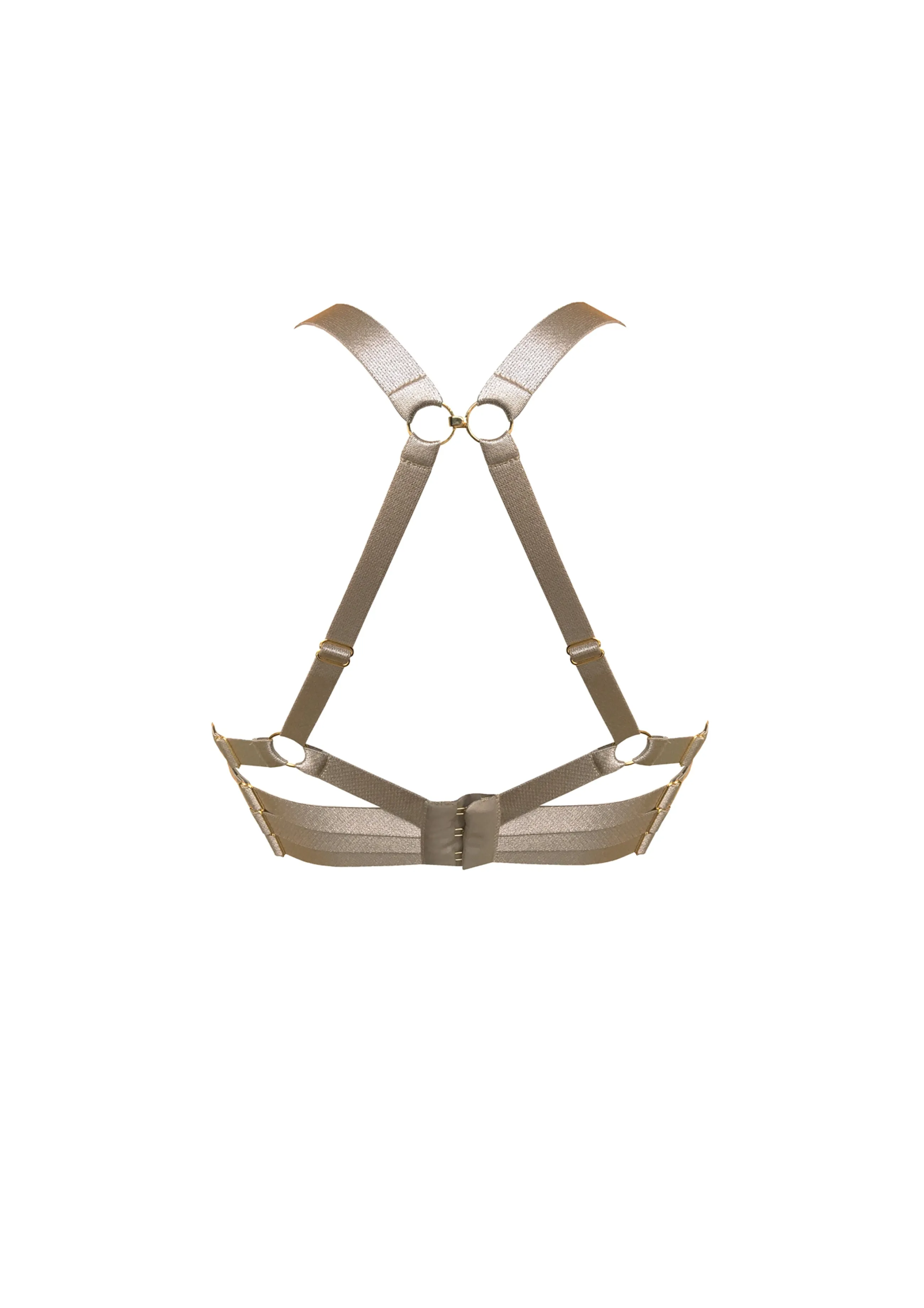 pushup_bra_6-2.webp Bordelle Push-Up Bra | Bras