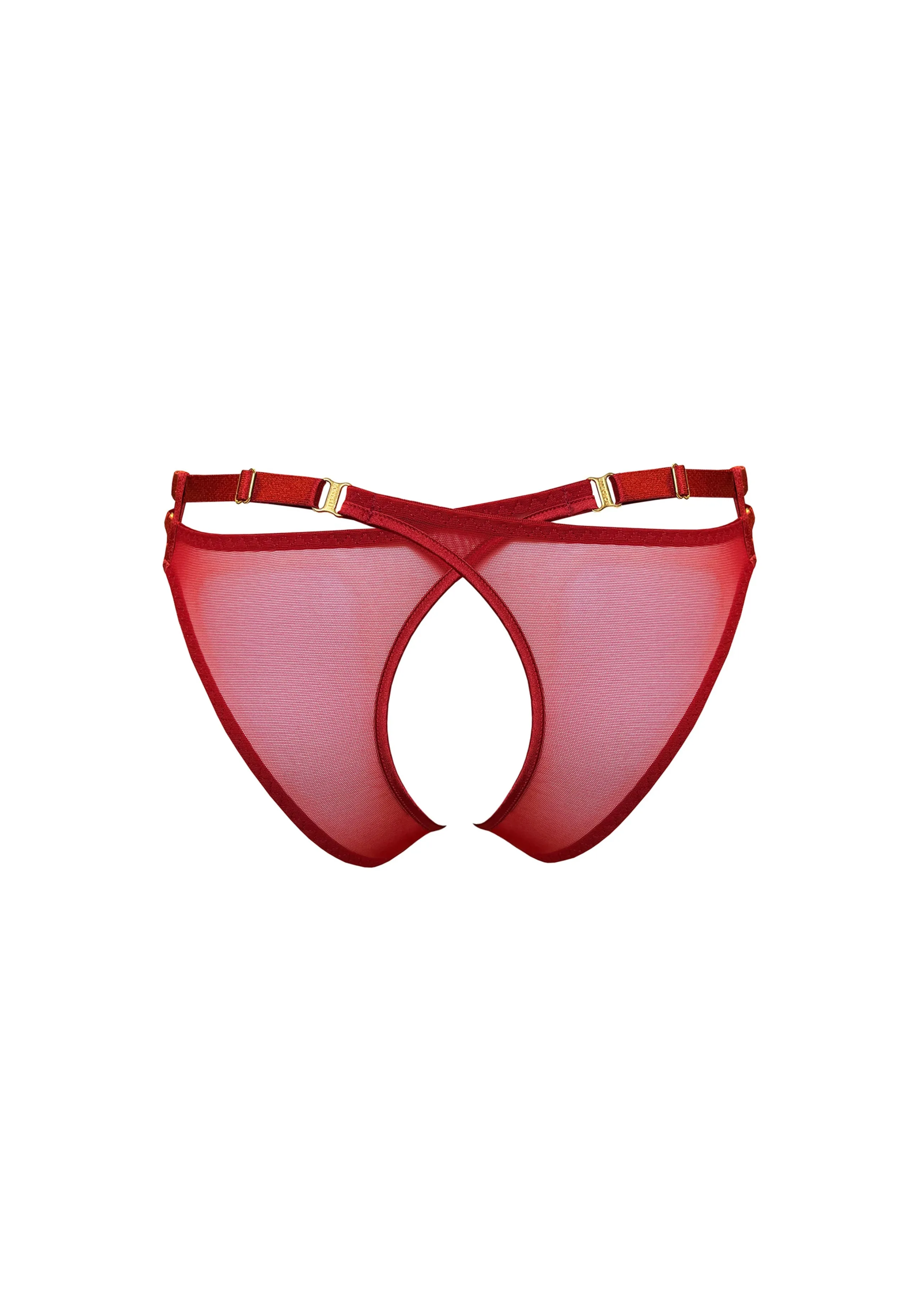 signature_mesh_peep_brief_5-1.webp Bordelle Signature Mesh Peep Brief | Briefs